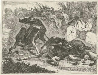 Two Dogs